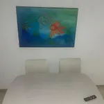 Atlantica Camburi